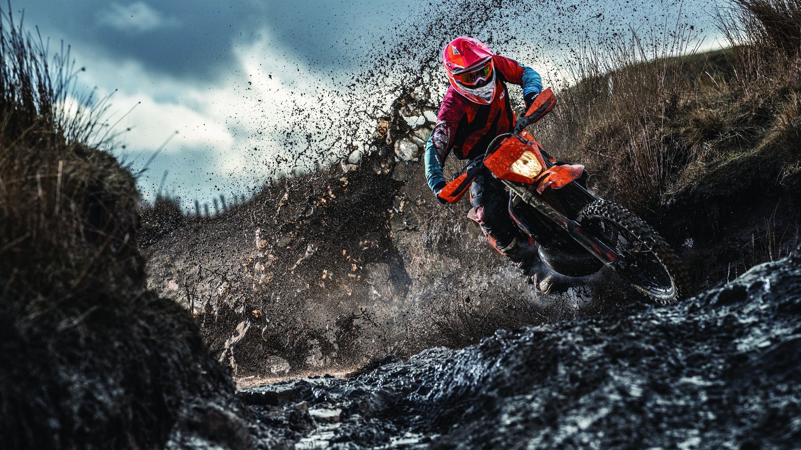 AYXapp下载-从独行侠到世界之巅，当踏平广厦的意志遇见2026世界杯的西亚卡姆时刻